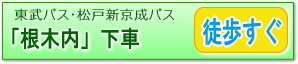 東武バス・松戸新京成バス「根木内」下車徒歩すぐ